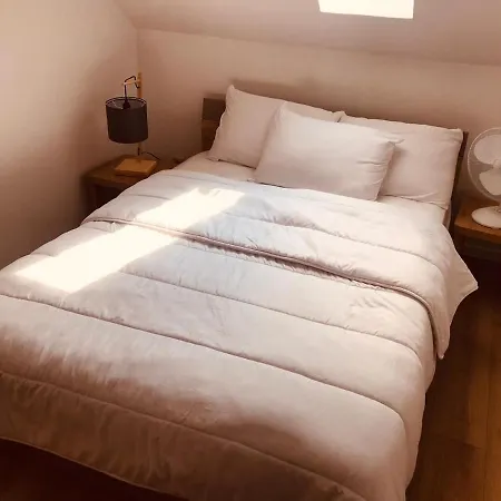 L 5 Açaï Boulogne-sur-Mer